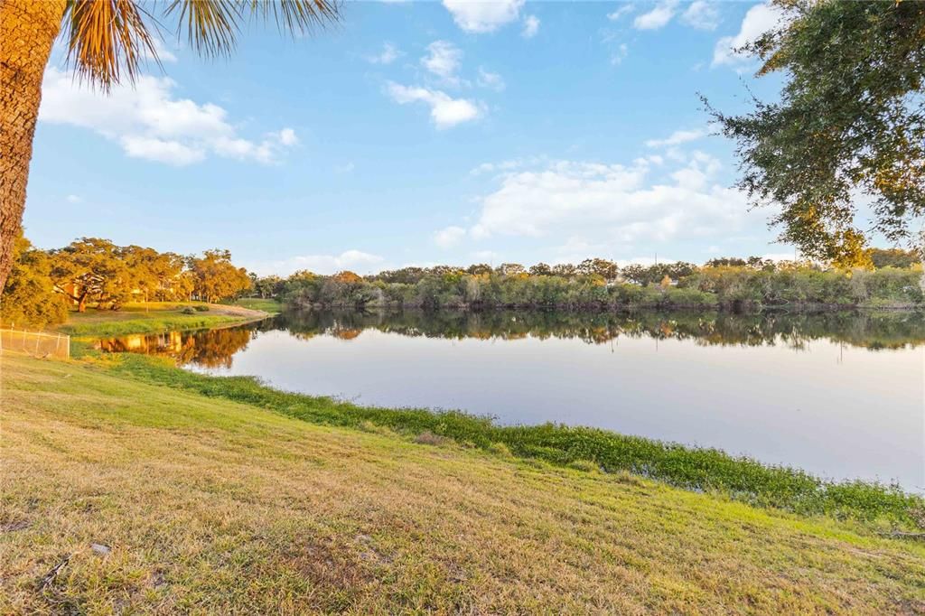 Great Spot For a Picnic!