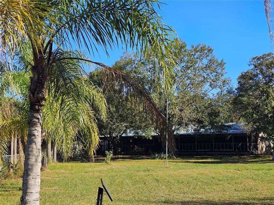 Palm and fruit trees, plus lots of flowers.