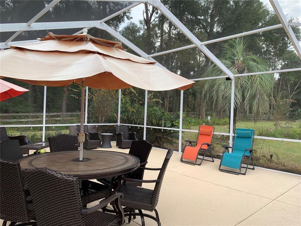 Large birdcage outdoor area to enjoy your company or just a quiet lazy day