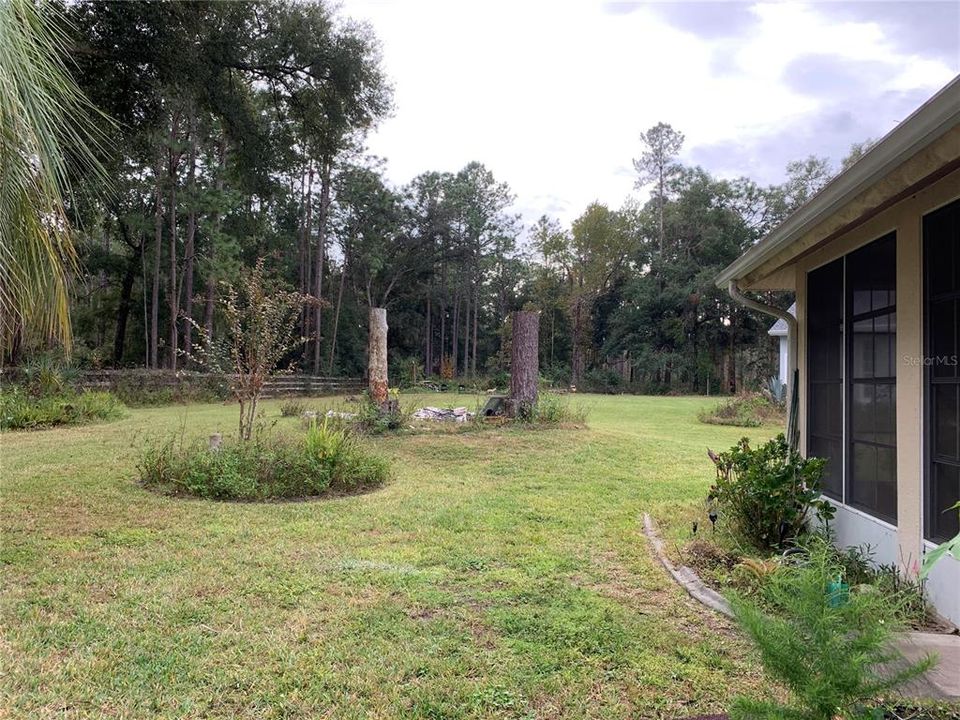 Large open yard view into neighbors yard.  Lots of privacy