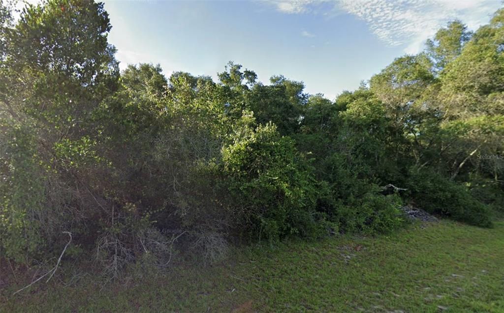 For Sale: $32,000 (0.31 acres)