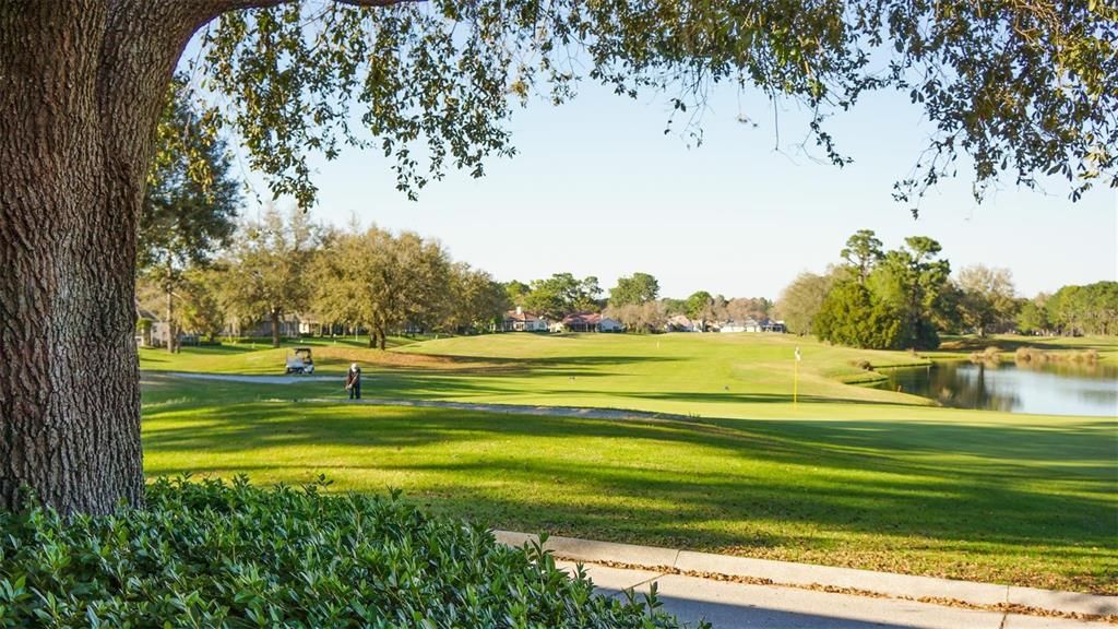 Panoramic Views from the Clubhouse Veranda