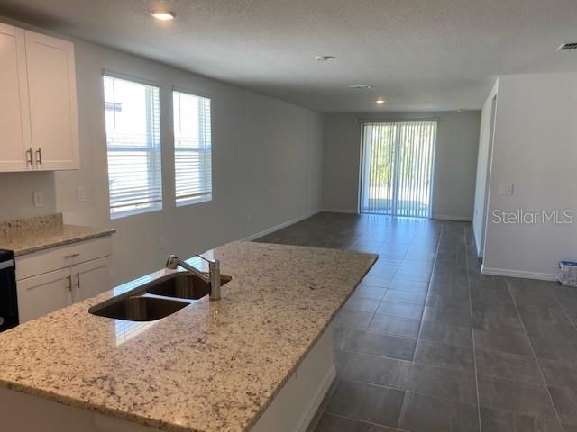 Kitchen/Great Room