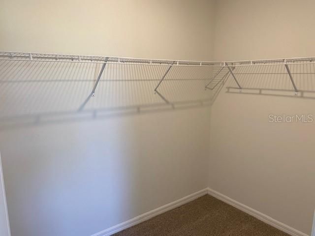 Primary Walk-In Closet