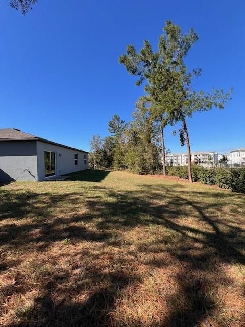 Fenced Backyard