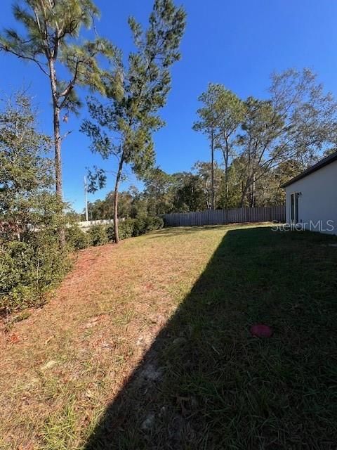 Fenced Backyard