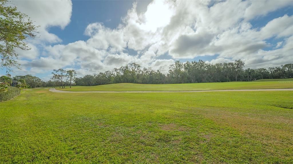 Hole number 15 at Tara Golf & Country Club