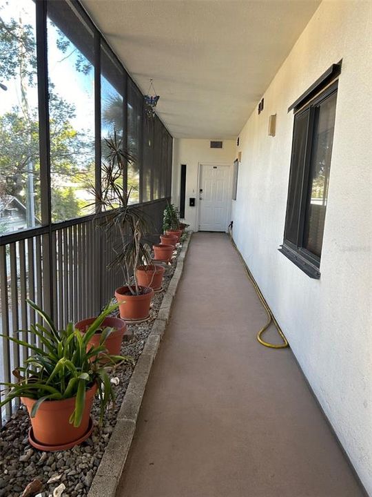 Screened Porch Entry