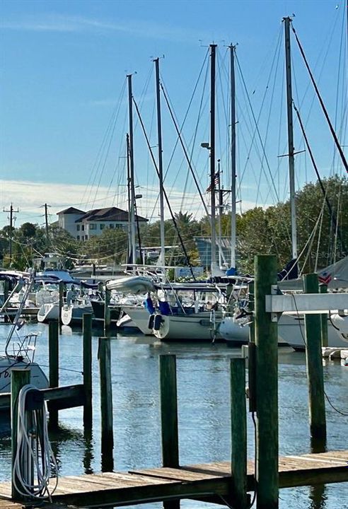 NSB City Marina a few Blocks from Condo