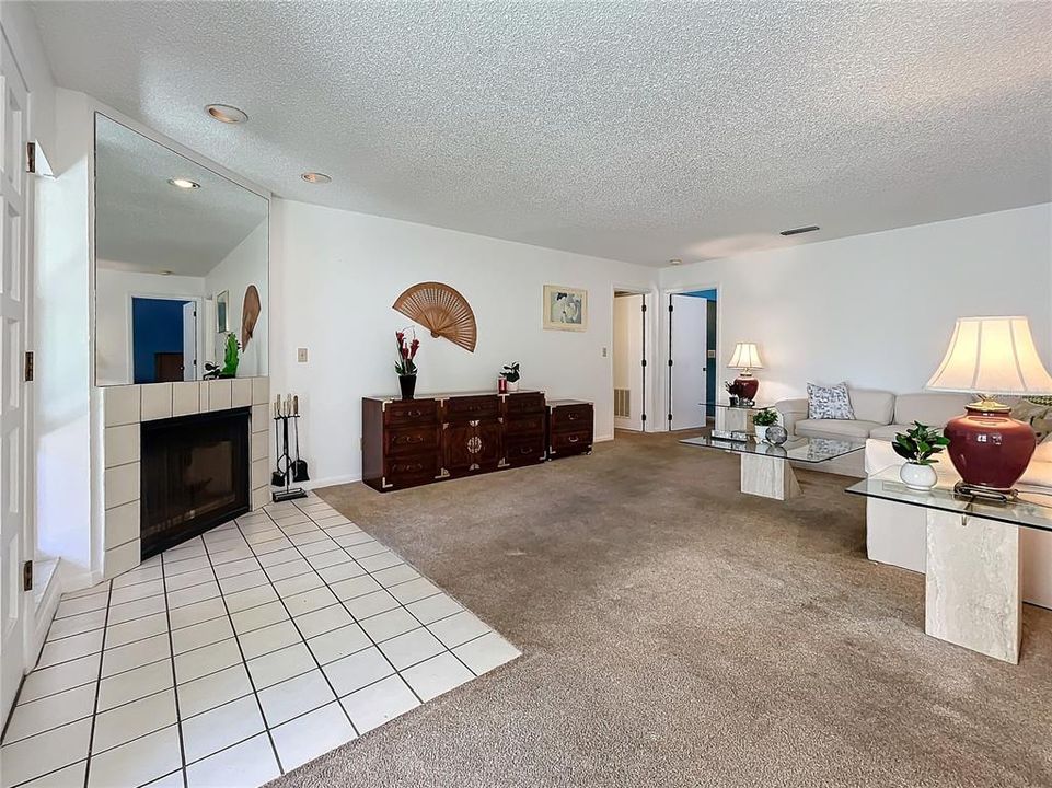 10626 Longwood Dr no 103, living area with corner fireplace