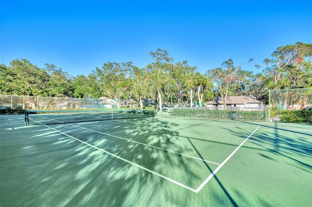 Tennis/Pickleball Courts