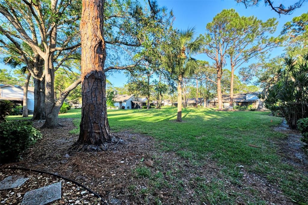 Beautiful view of green area from lanai and bonus room