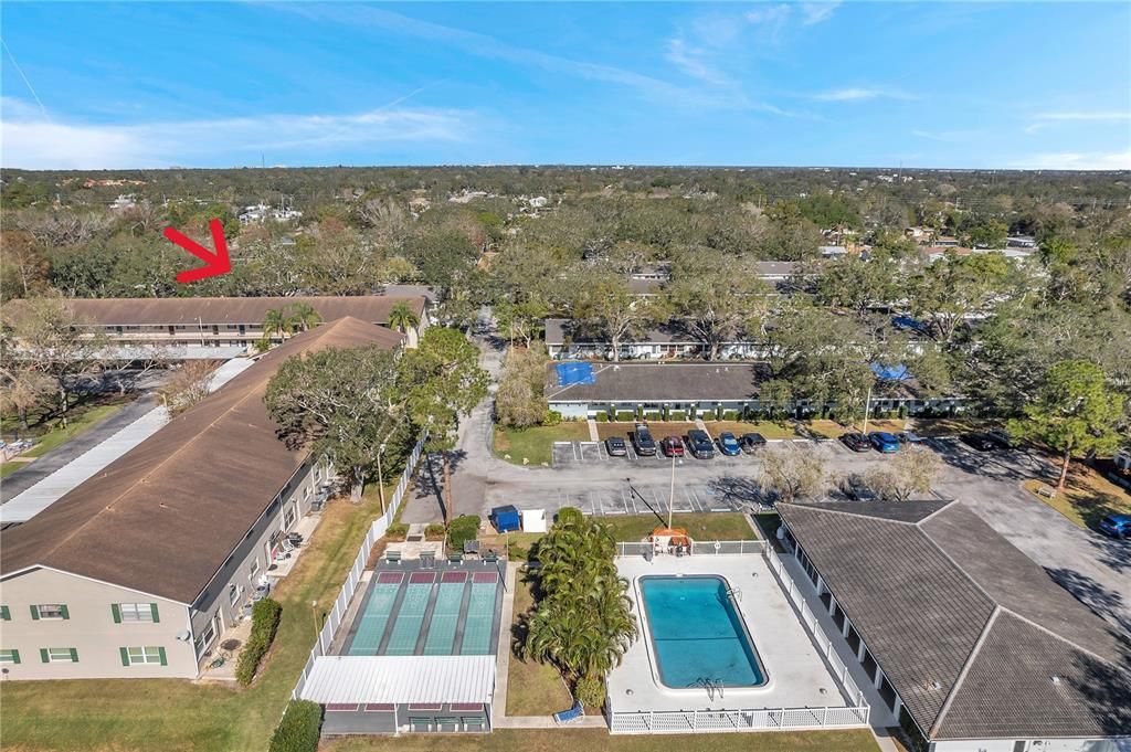 Recreation area with APPROX location of Unit #66.  Arrow points to trees NOT the 2 story apt building.