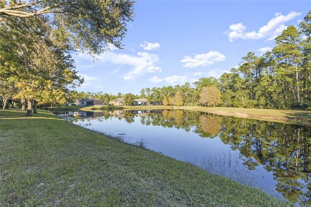 Pond & conservation area view behind home