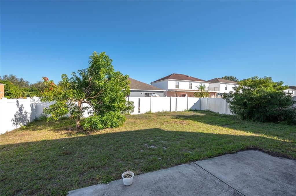 Fenced in backyard