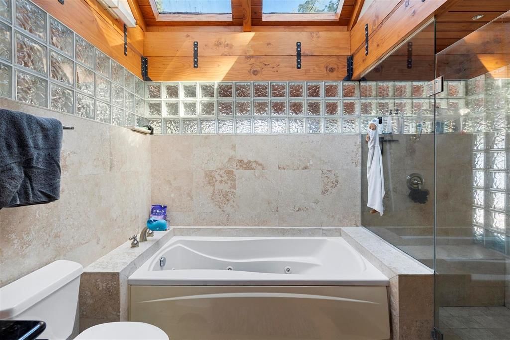 Primary Bathroom Tub