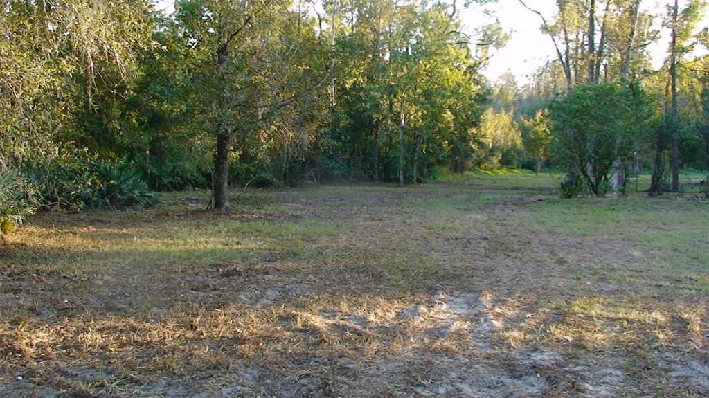 For Sale: $199,999 (4.81 acres)