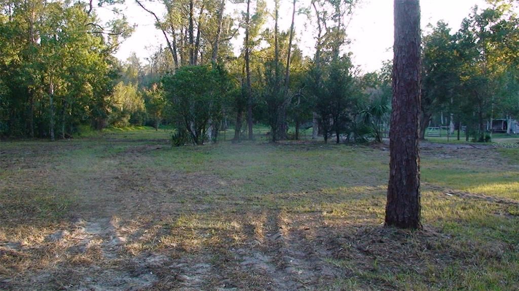 For Sale: $199,999 (4.81 acres)