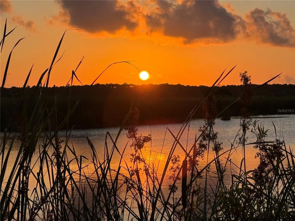 Sunrise at the Weeki Wachee Lake Preserve