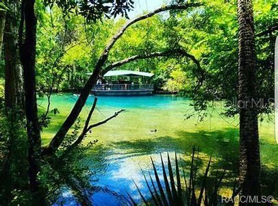 Homosassa State Park