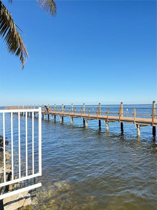 Tampa Bay from clubhouse