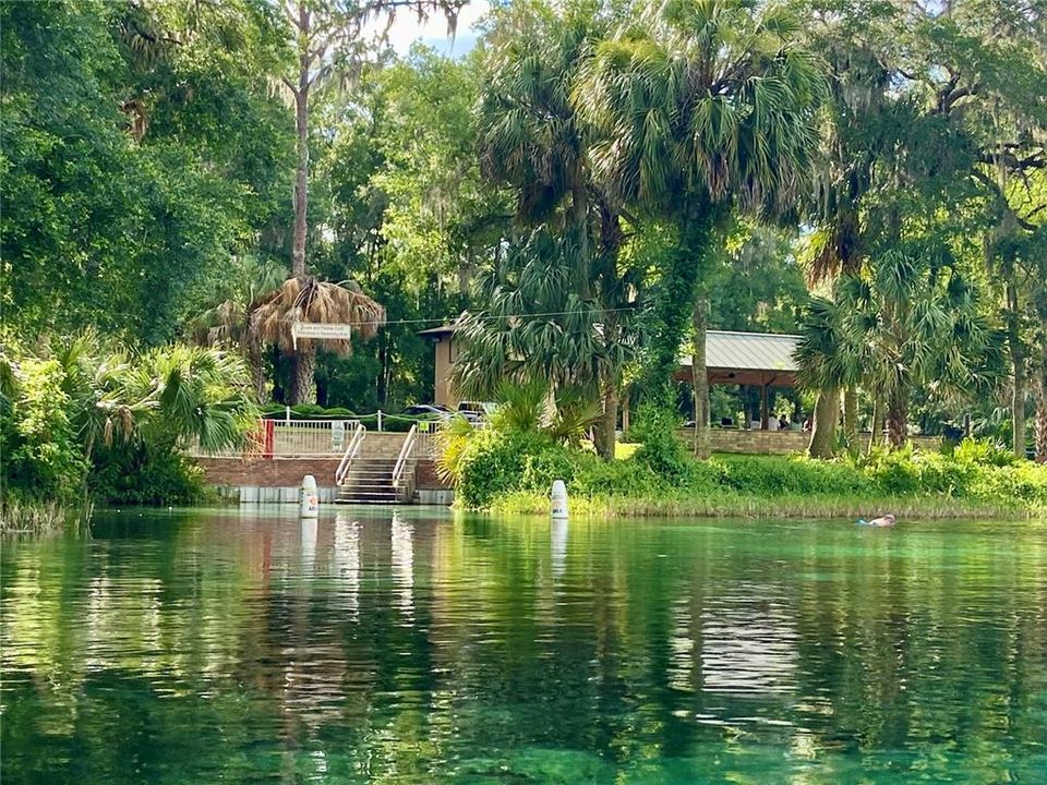 Swimming area on The Rainbow River