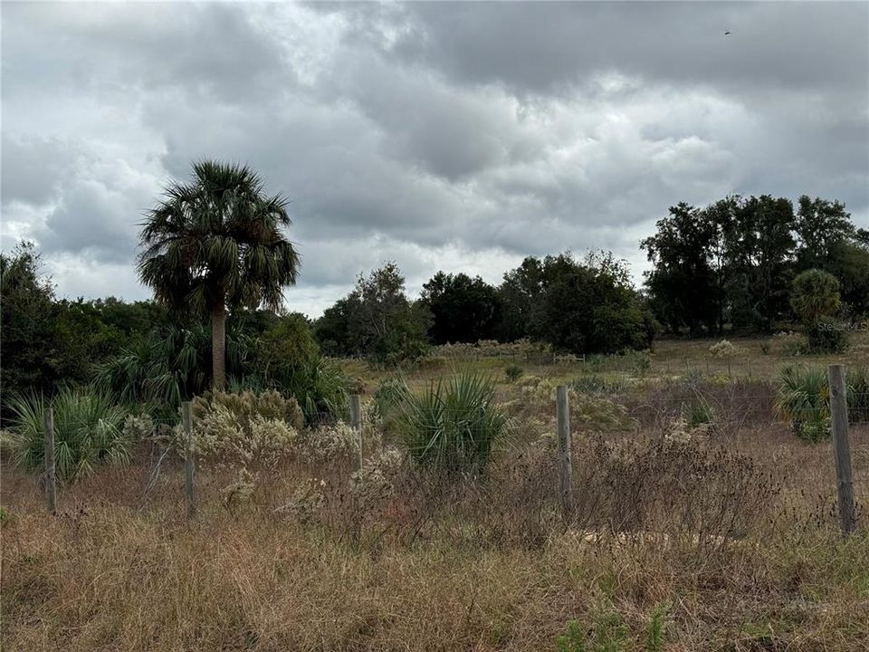 For Sale: $221,500 (10.06 acres)