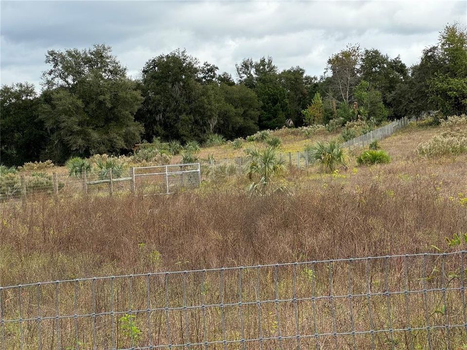 For Sale: $221,500 (10.06 acres)