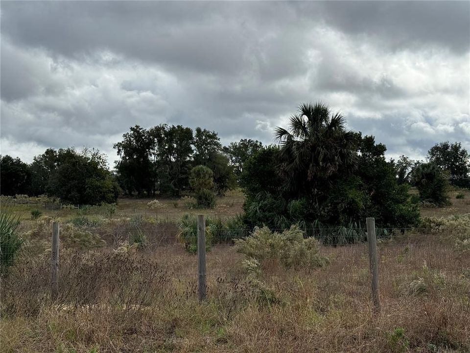 For Sale: $221,500 (10.06 acres)