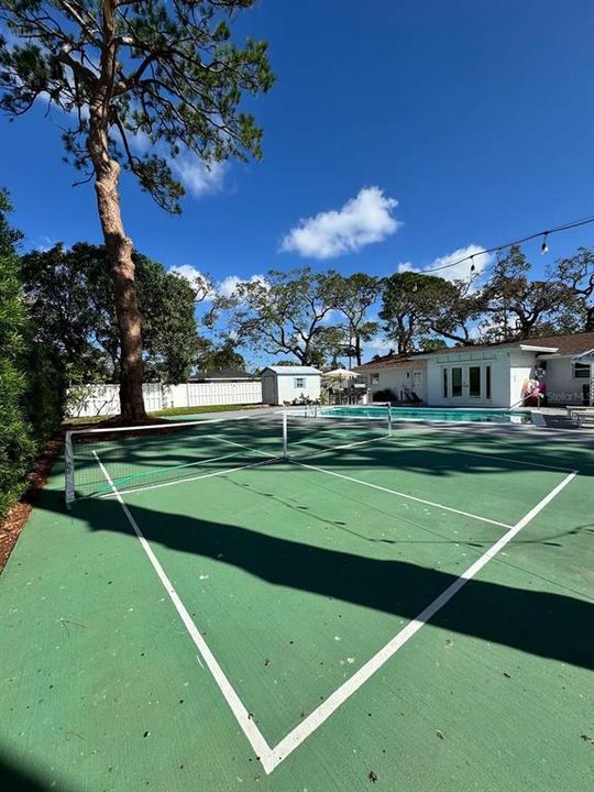 Pickleball Court