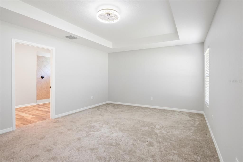 Master Suite with upgraded lighting-fan and trey ceilings.