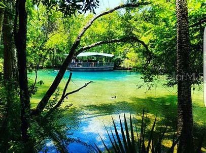 Homosassa State Park