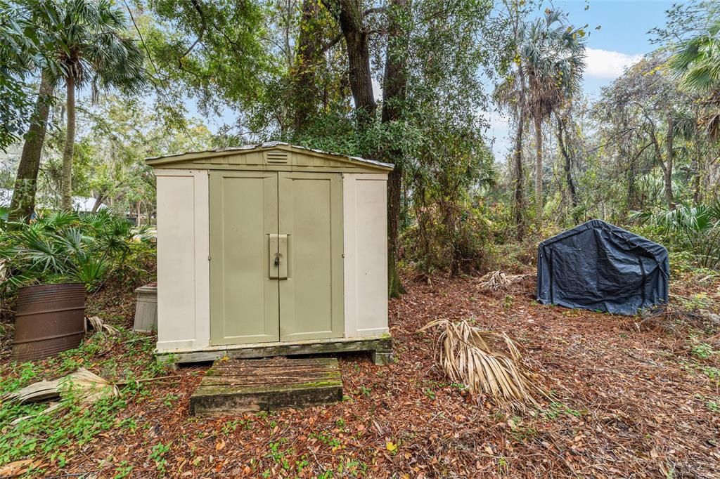 SHED IN BACKYARD