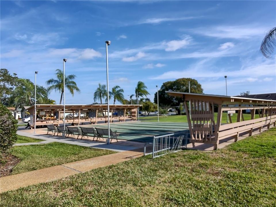 Shuffleboard is a very popular Florida activity.