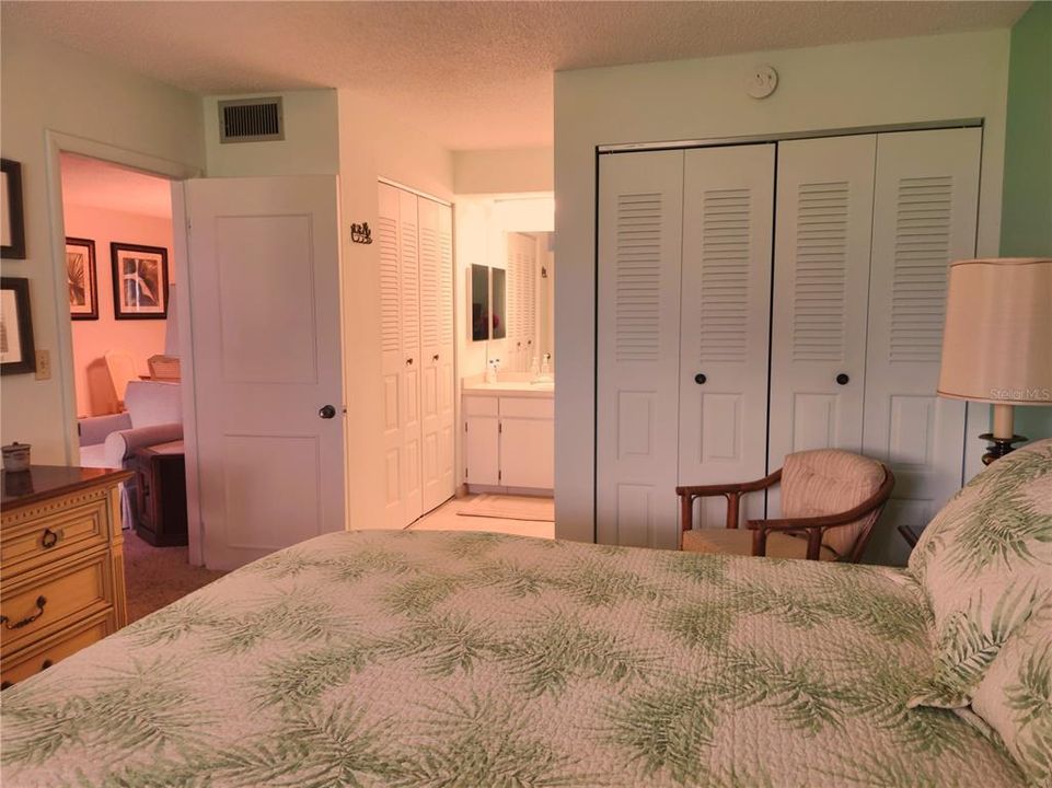 View of both closets and entry into living area.