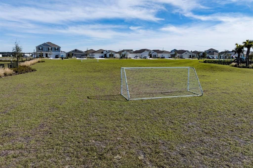 Soccer Field