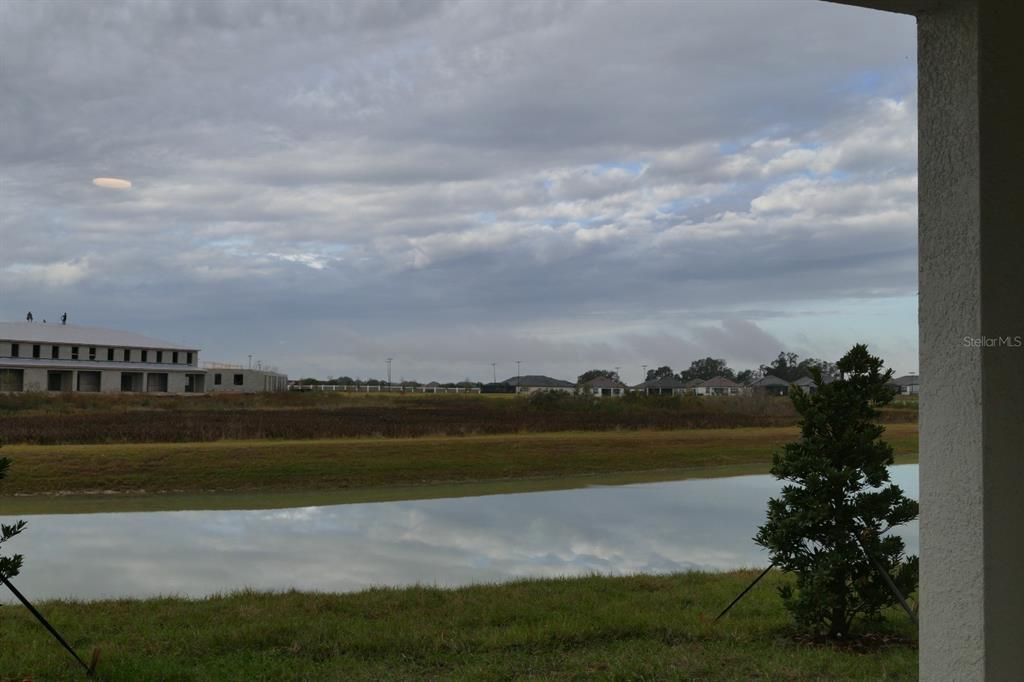 patio view of pond