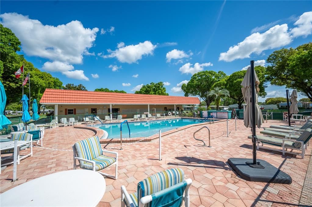 Pool Lounge Area