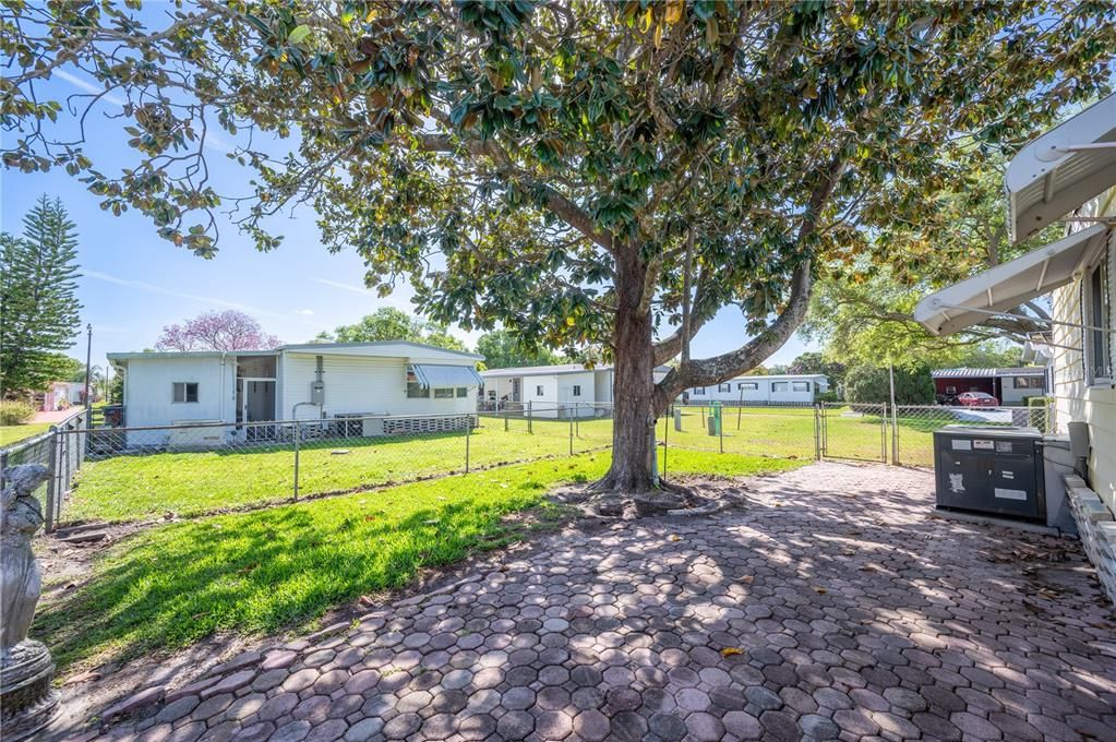 Fenced Backyard