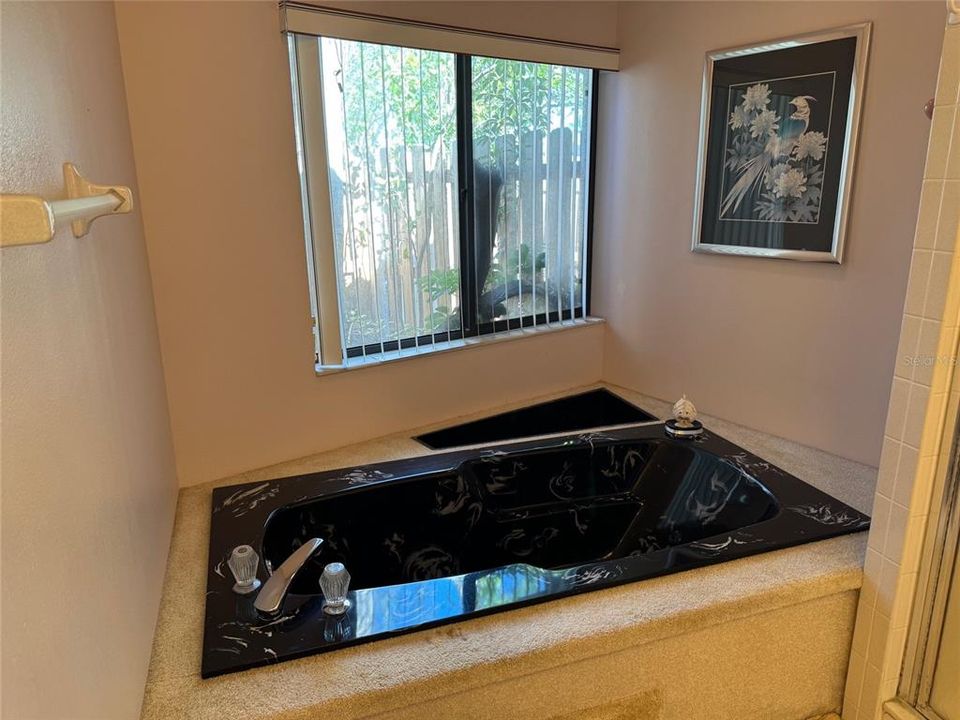 Primary Bath with Jacuzzi Tub