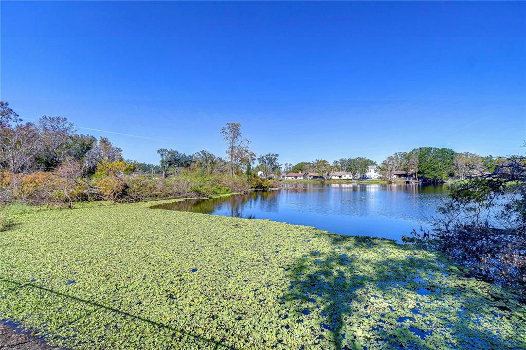 Active With Contract: $400,000 (4 beds, 2 baths, 1420 Square Feet)