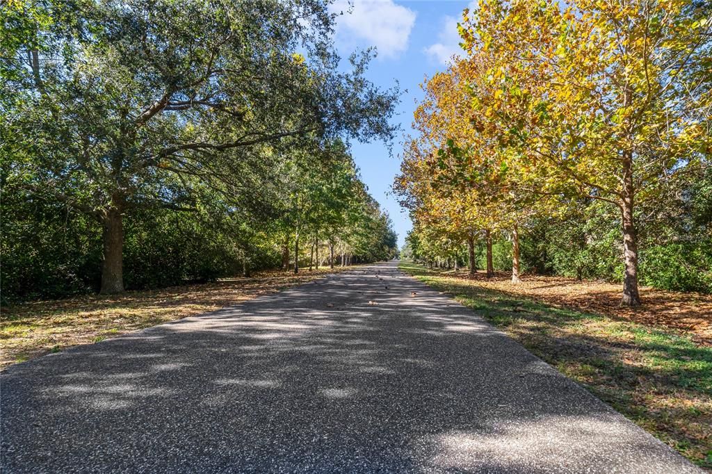 Seminole Country Trail