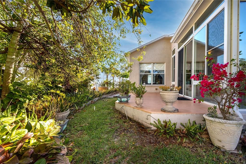 Tropical landscaping outside the sunroom