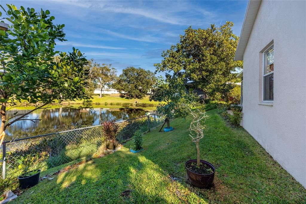 Backyard and by the lake