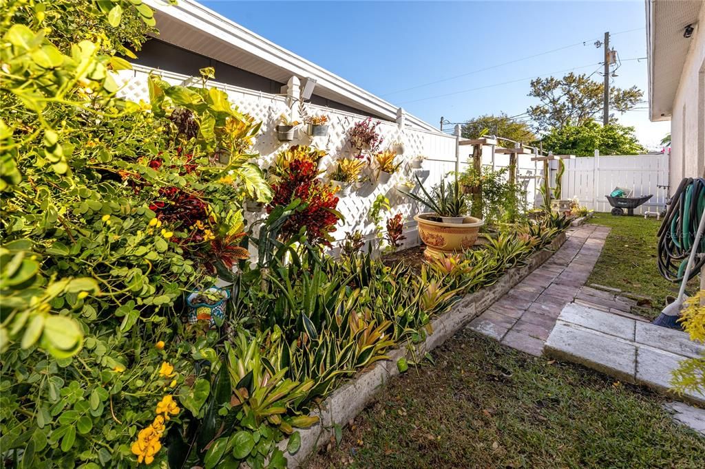 Tropical landscaping on the side of the house