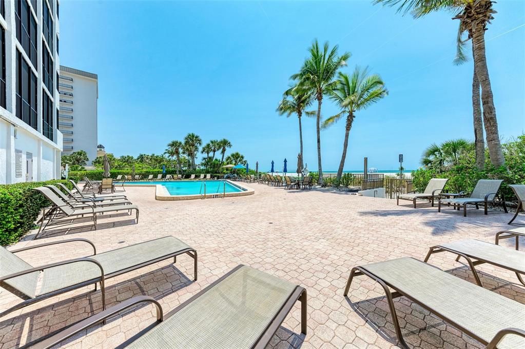 Lounge on the patio, poolside and beachside