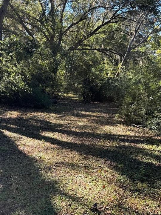 Backyard of the property