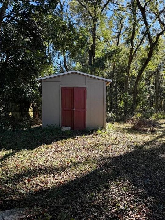 Shed in the back yard