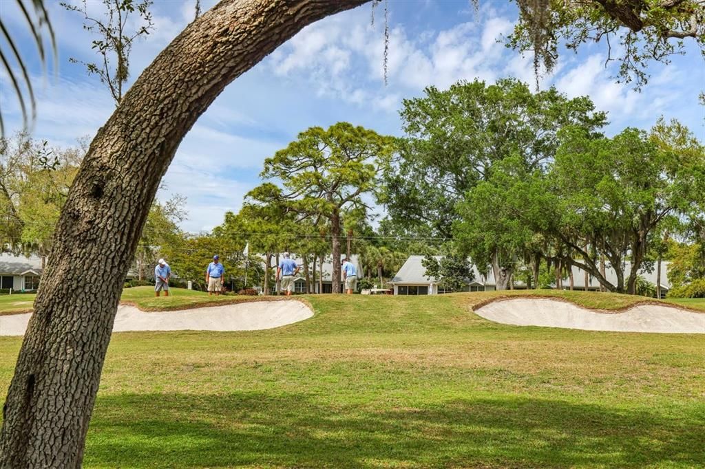 Beautiful golf course view!