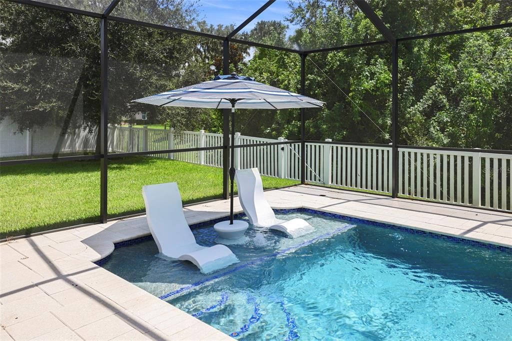 Dual Lounge Chairs in Pool